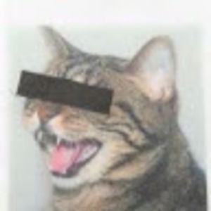 Meet your Posher, Astro